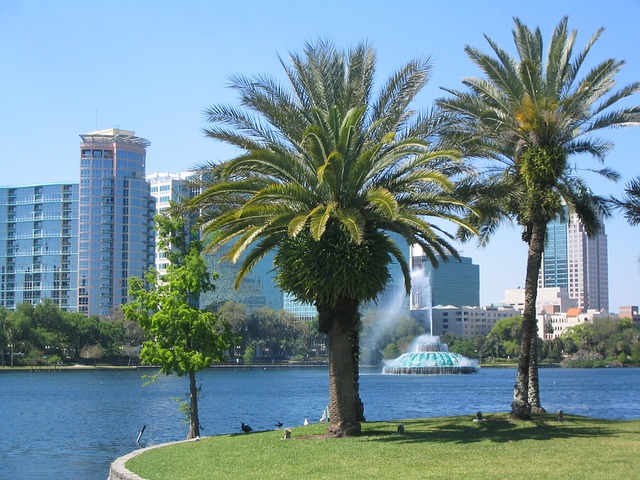 Hire a professional property management company to help you maximize your Orlando investment opportunities